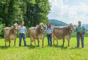 100000 er Matthias Arnold